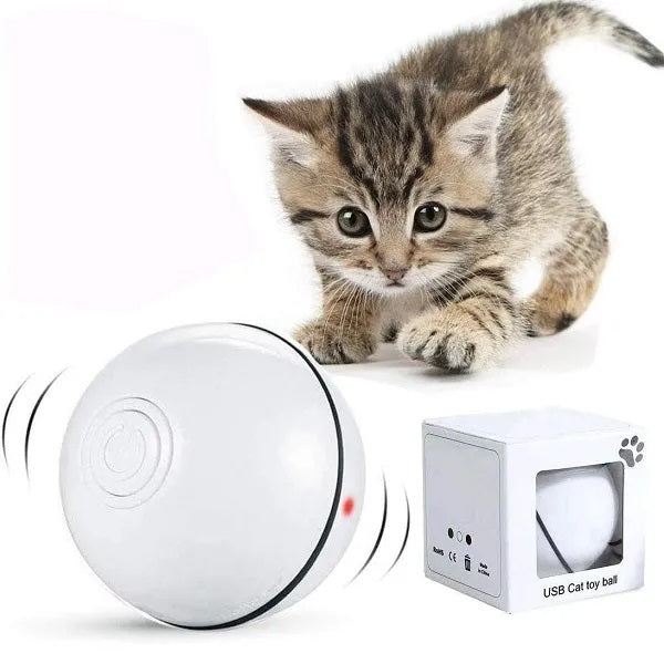 Aristokatz Balle intelligente rechargeable blanche