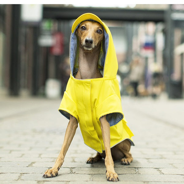 CANADA POOCH Imperméable Jaune- taille 8