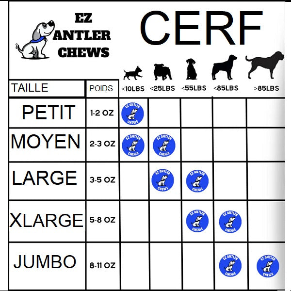 Bois de Cerf Entier - Géant