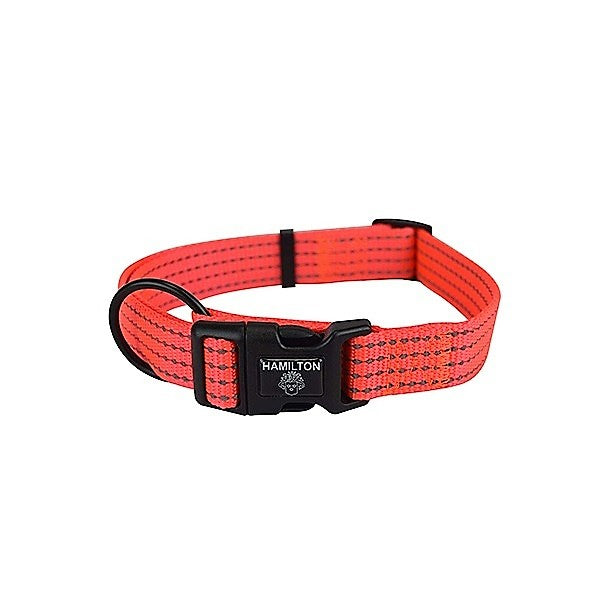 HAMILTON collier ajustable haut visibilité ORANGE 1" X 18" à 26"