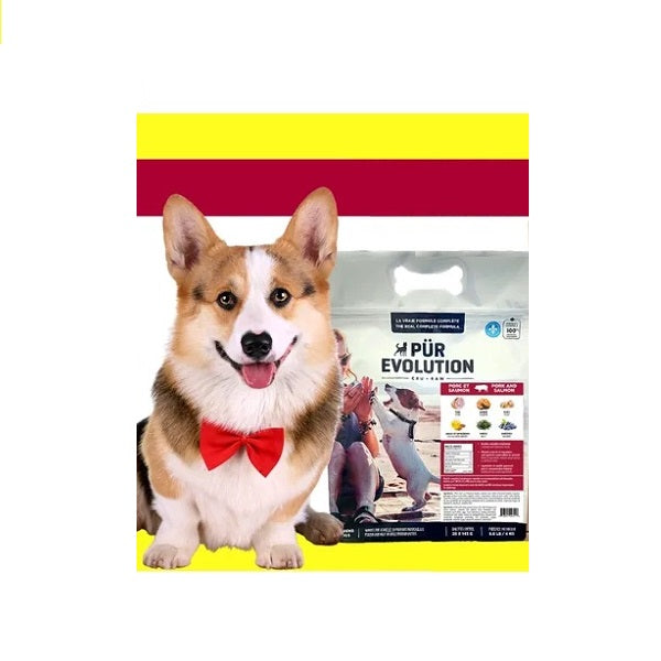 PÜR Evolution Porc et Saumon pour chien 4kg - La boite à Penny