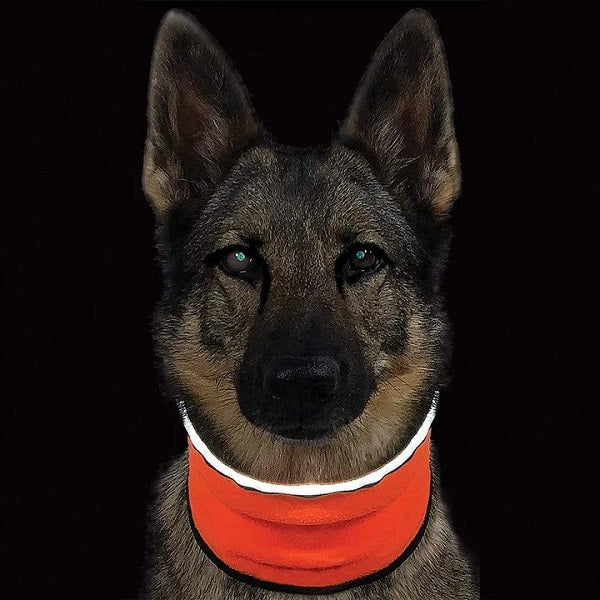 Muttluks cache cou Vizinek orange - large 18-20"