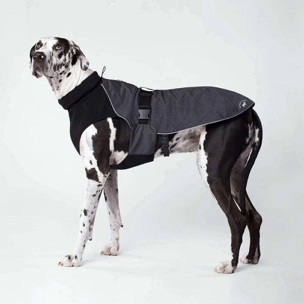 CANADA POOCH Manteau Brave the Elements Gris - La boite à Penny