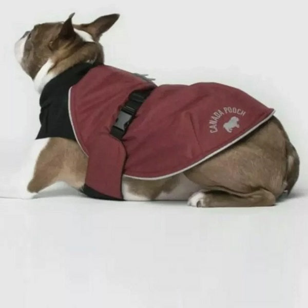 CANADA POOCH Manteau Brave the Elements Rouge