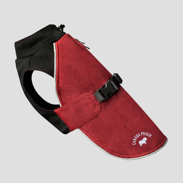 CANADA POOCH Manteau Brave the Elements Rouge