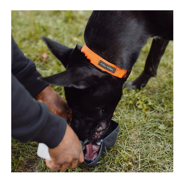 CANADA POOCH Kit d'hydratation