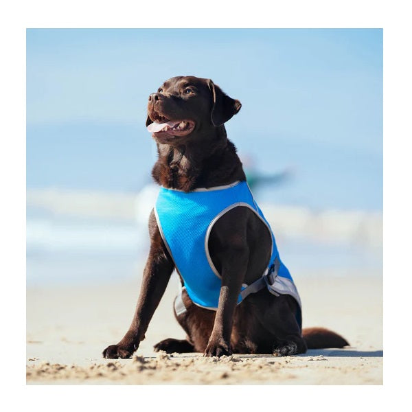 CANADA POOCH Chill Seeker- Gilet de Refroidissement Bleu - taille 20