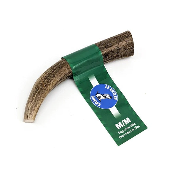 Bois de Cerf Entier - Moyen