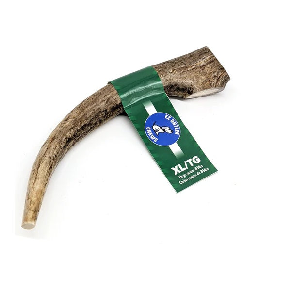 Bois de Cerf Entier X-large