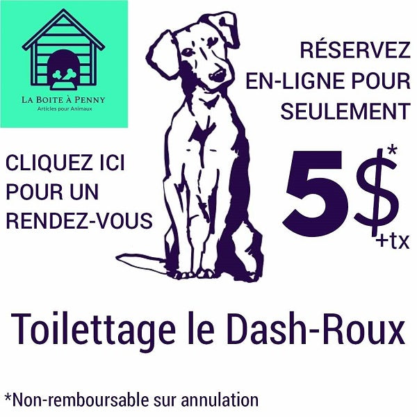 Lave-toutou et Toilettage rendez-vous