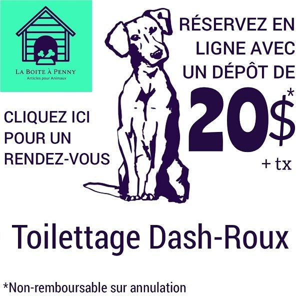 Toilettage Dash-Roux rendez-vous - La boite à Penny