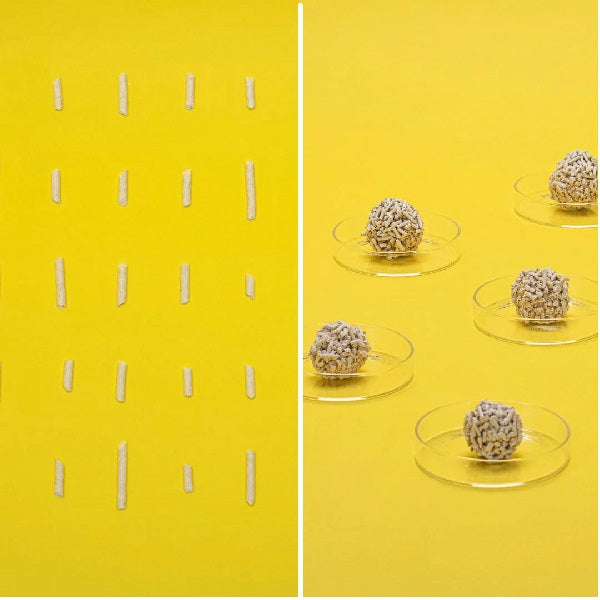 Litière pour chat Dofu Cat Tofu 6kg - La boite à Penny