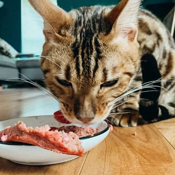 Faim Museau Canard et Bœuf pour chat 6lb - La boite à Penny