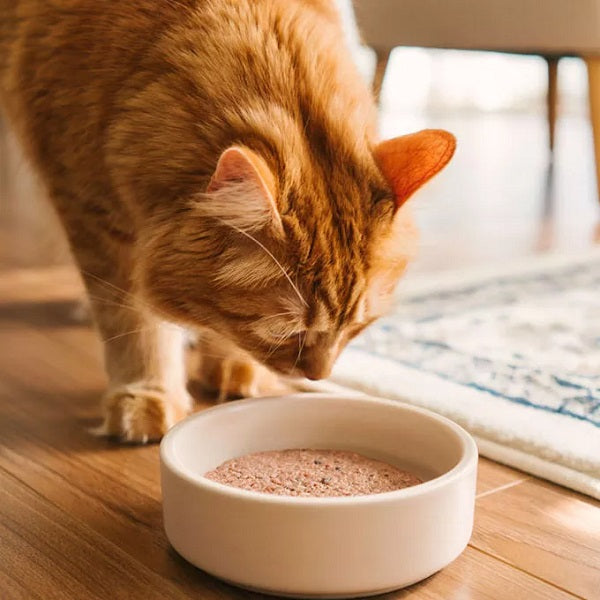 Faim Museau poulet et saumon pour chats 6lb - La boite à Penny