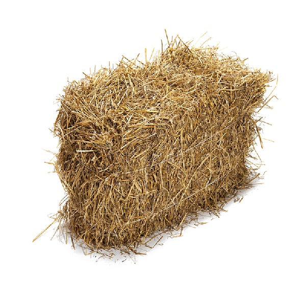 Ferme DAMARI Foin 1kg