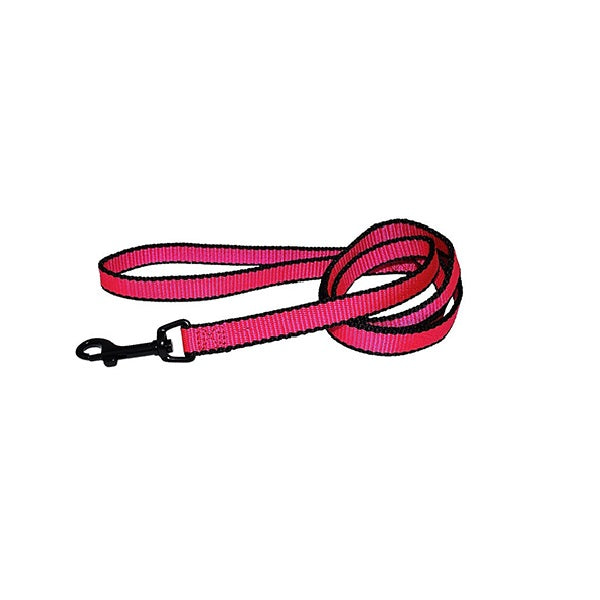HAMILTON laisse de nylon rose NÉON 1" X 72"