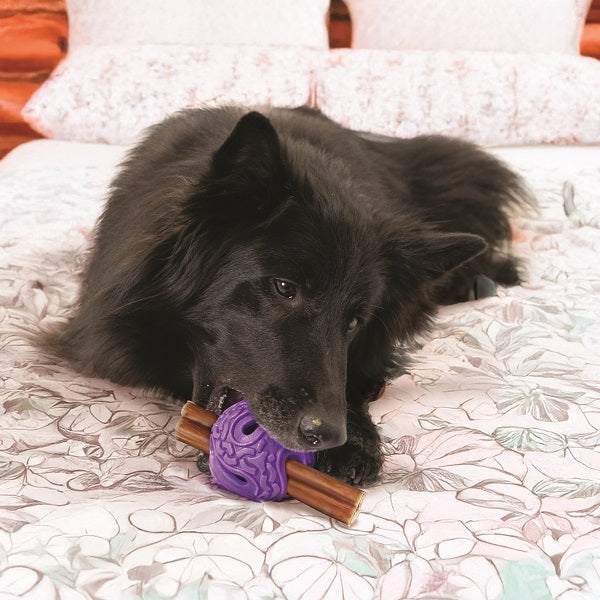 Kong Flex balle Squeezz medium