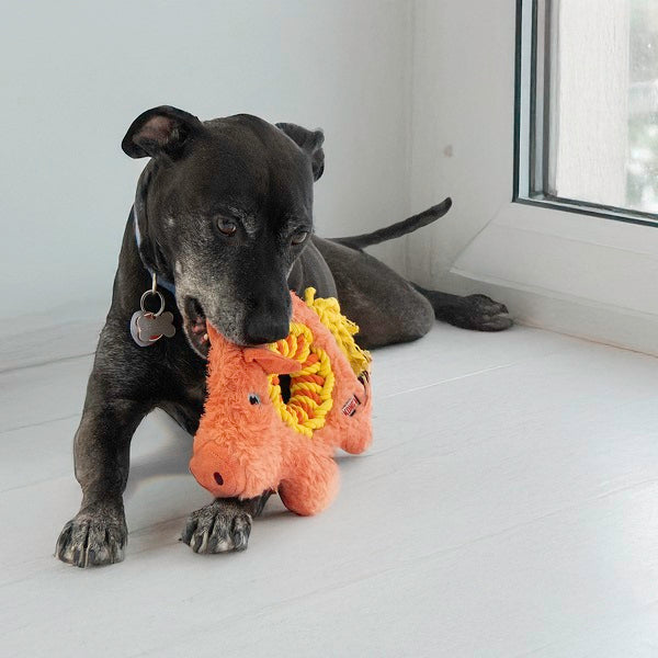 KONG Ringaroos Cochon orange