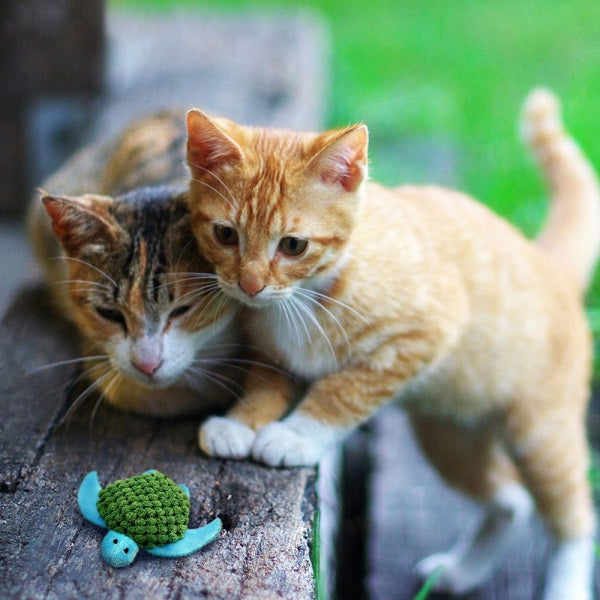 Kong refillables tortue et herbe à chat - La boite à Penny