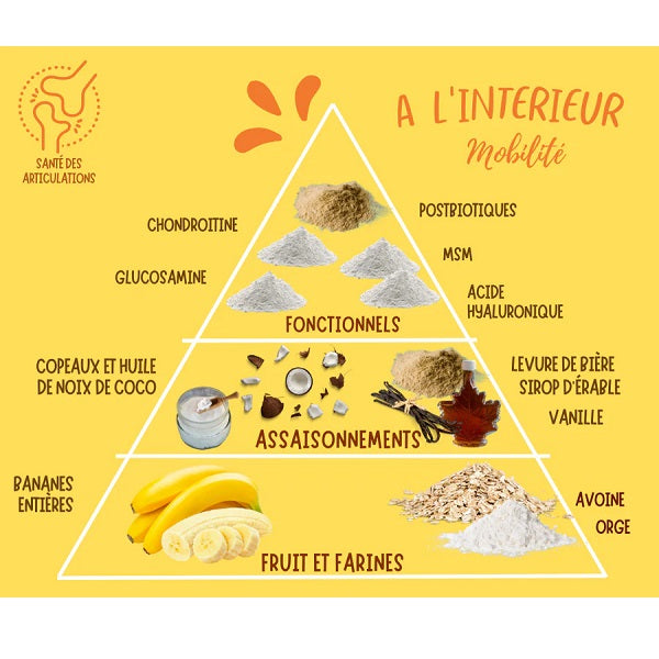 Mes Biscuits Maison- Entraînement et Mobilité 170g