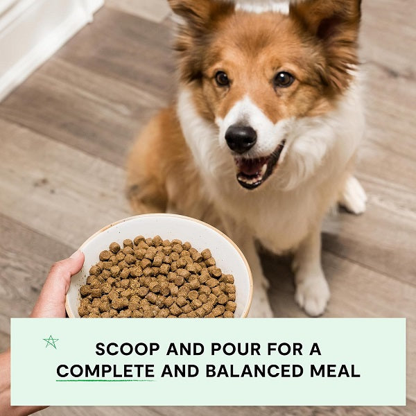 OPEN FARM Agneau Élevé au Pâturage pour chien 22 lbs