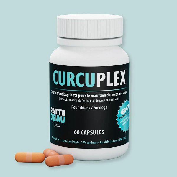 Pattedeau Bio Curcuplex 60 capsules