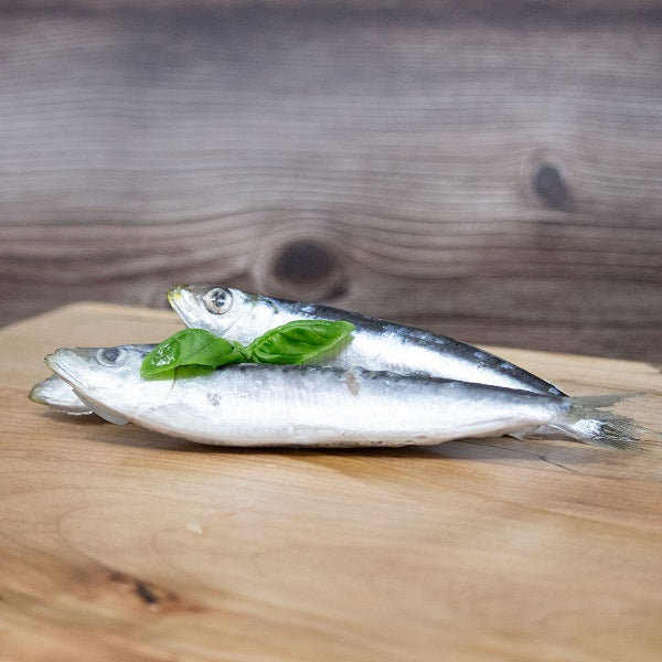 Big Country Raw sardines 1Lb pour chien et chat