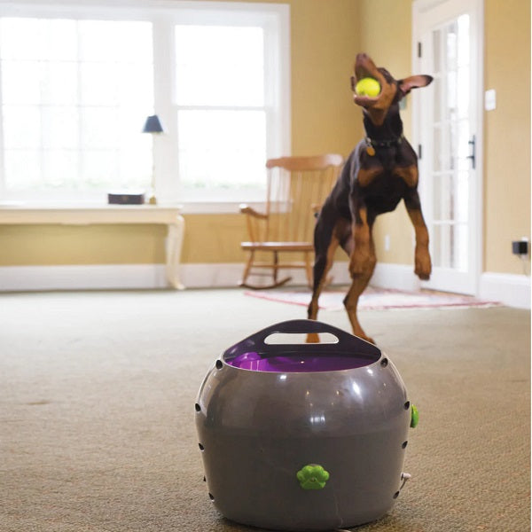 Pet Safe lance de balle automatique pour chien - La boite à Penny