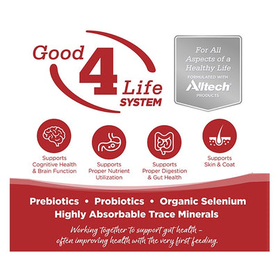 NutriSource Pure Vita entrée de boeuf pour chiens 348g