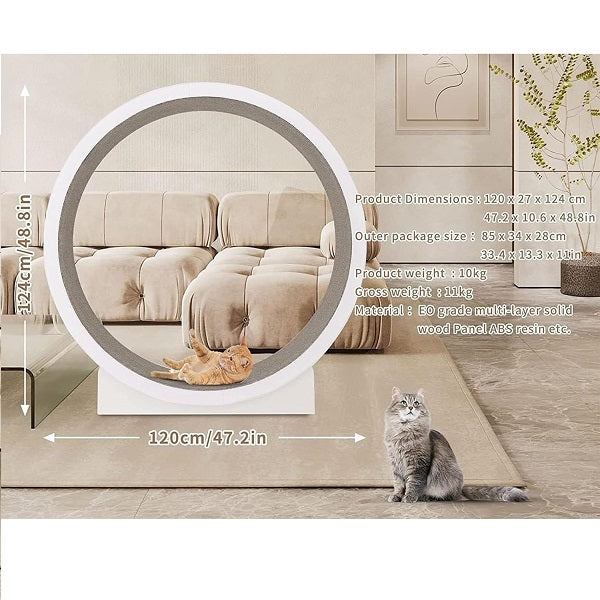 Aristokatz Roue d'Exercice pour chats 120cm - La boite à Penny