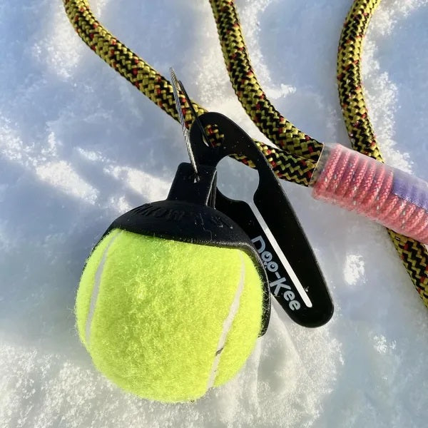 Support de balle Throw N' Go noir - La boite à Penny