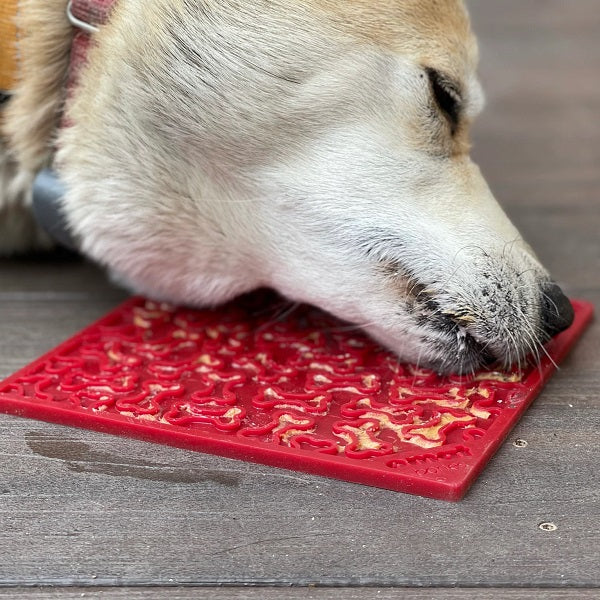 SodaPup Tapis à Lécher Os rouge 8x8" - La boite à Penny