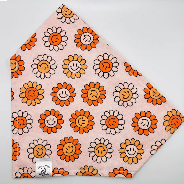 Bandana Jake & Jerry XL - La boite à Penny