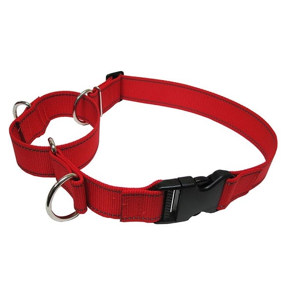 Martingale Hunter Nylon Rouge 1/2" x 8-16"