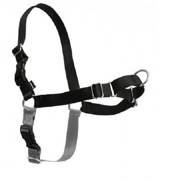 Harnais Deluxe Easy Walk sans traction Large - Gris et Noir - La boite à Penny