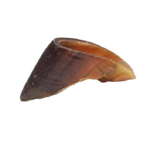 Redbarn Sabot de Vache friandise 1 Unité
