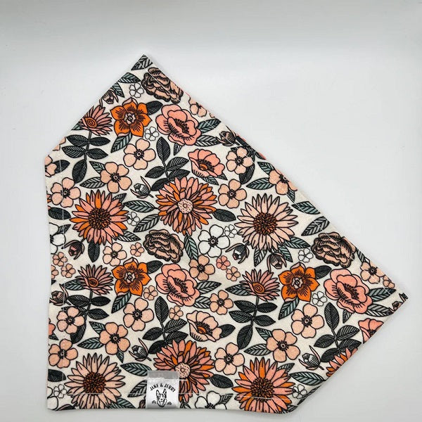 Bandana Jake & Jerry L - La boite à Penny