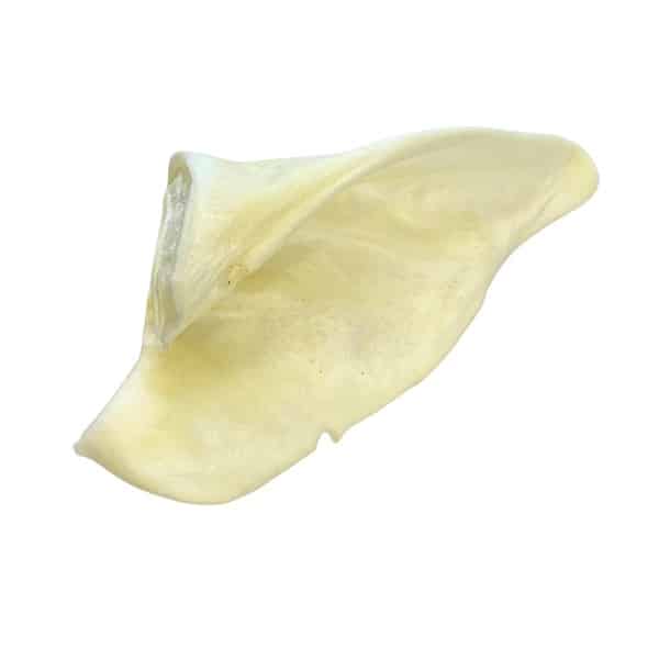 Oreille de Porc Soufflé 1 unité