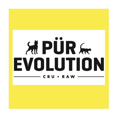 PÜR Evolution