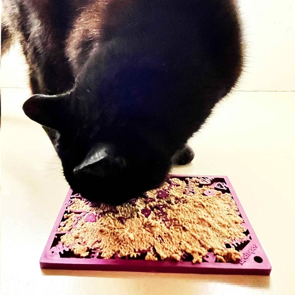 SodaPup Tapis à Lécher Fishy 5x7"