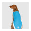 CANADA POOCH Chill Seeker- Gilet de Refroidissement Bleu - taille 20