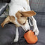 SodaPup Dinde Orange Large
