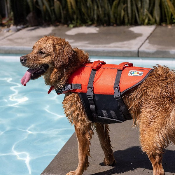 Gilet de Sauvetage Orange Outward Hound Large