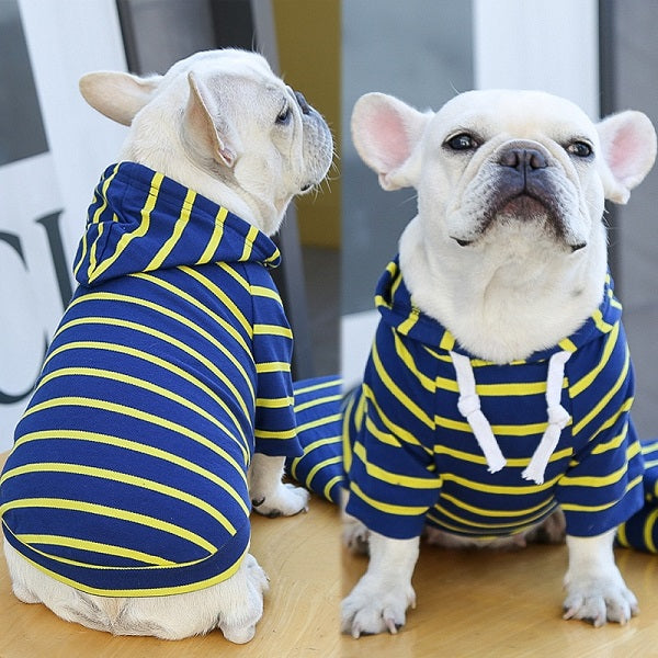 Hoodie bleu marine et jaune pour petit chien MOYEN