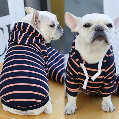 Hoodie bleu marine et rose pour petit chien MOYEN