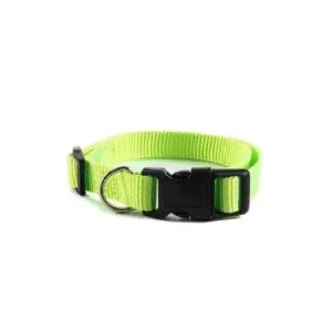 Collier Hunter en nylon ajustable vert pomme 1" X 17-26"