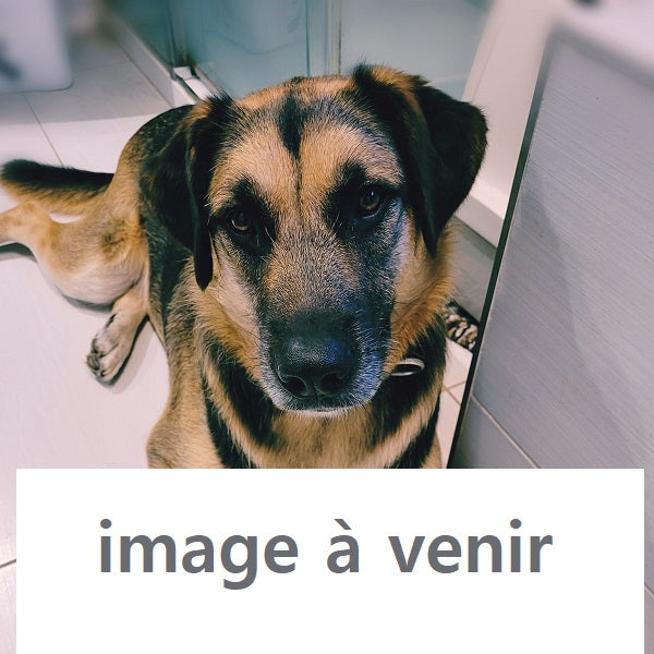 Mélimélo croquant produit en Vrac - La boite à Penny