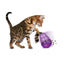 Kong Wobbler pour chat
