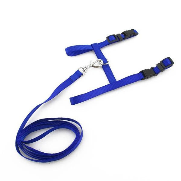 Laisse et harnais ajustable bleu pour chat
