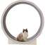 Aristokatz Roue d'Exercice pour chats 120cm